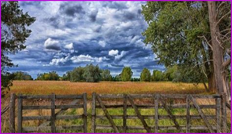 What is severance tax in oil and gas?